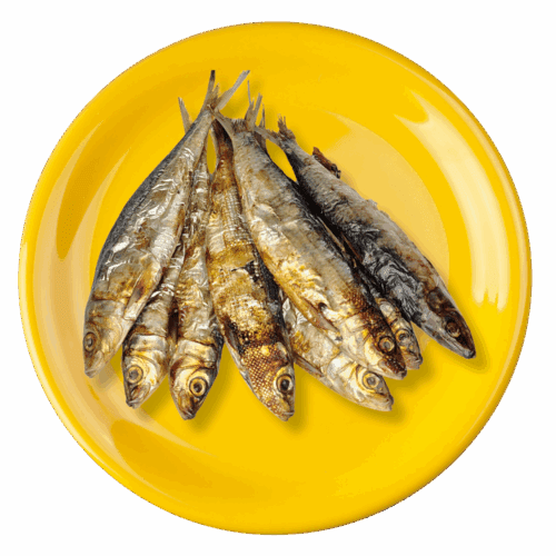 Spanish Sardines